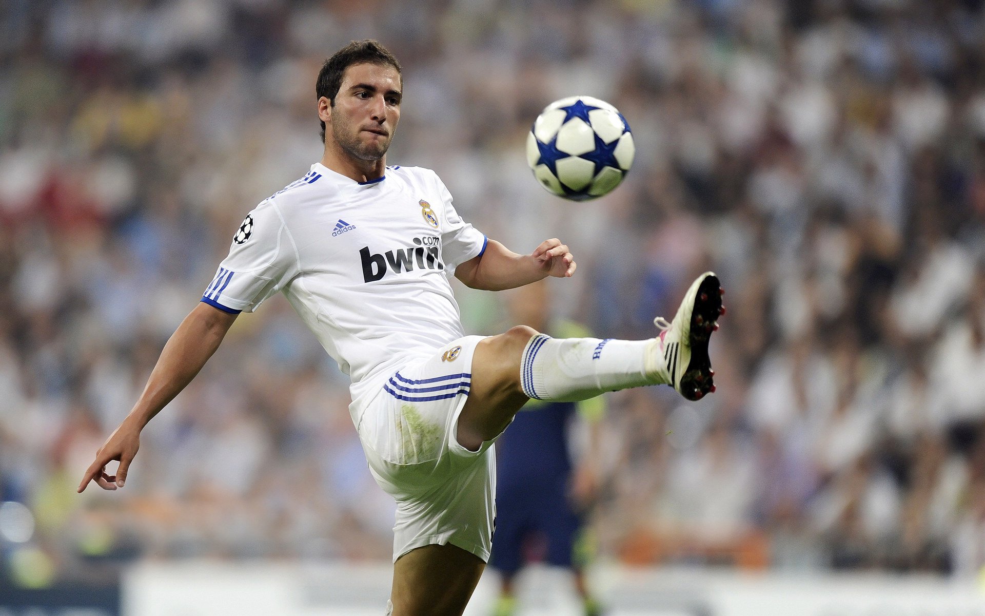 世界杯焦点战，鹈鹕巅峰对决，胜出掘金